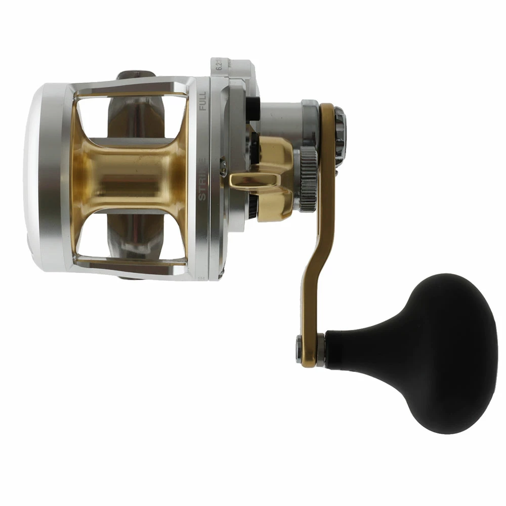 Shimano Talica 8 Jigging Reel 5 Shimano Talica 8 Jigging Reel - Image 5